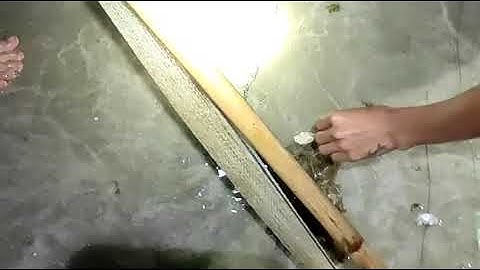 một đêm đi đẩy tép ☺️