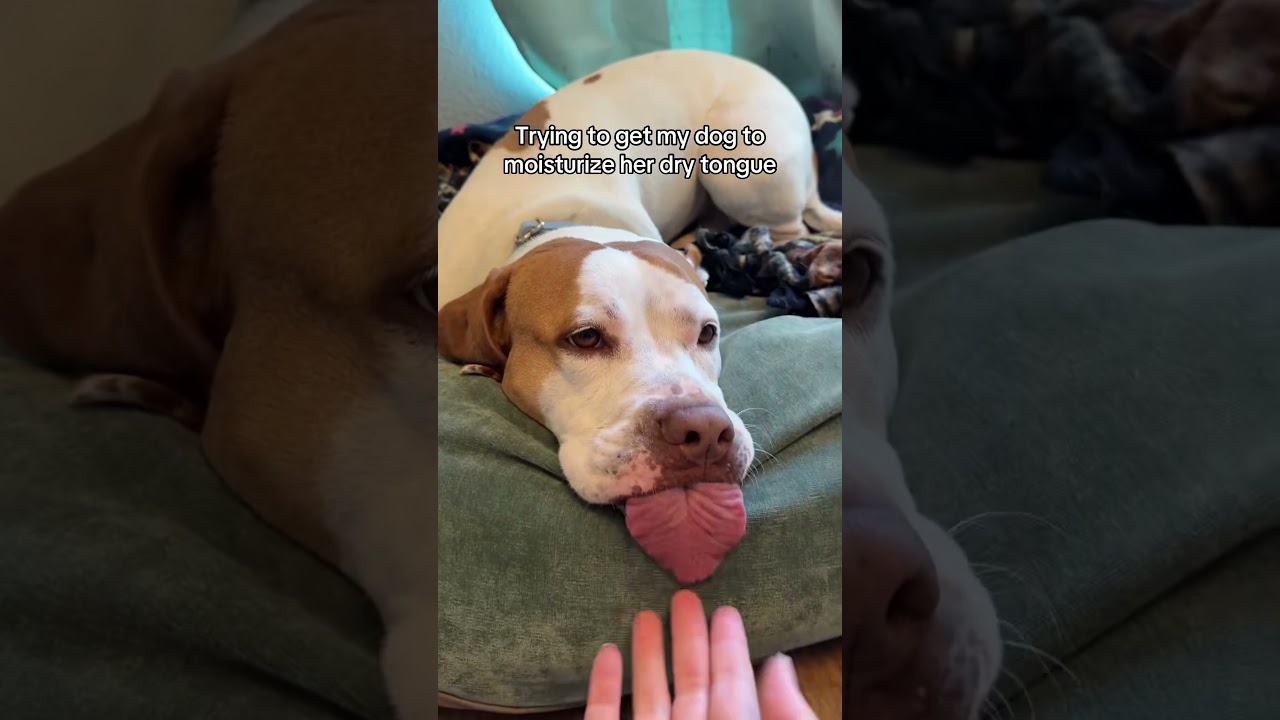 Original Title & Thumbnail