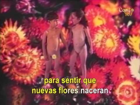 Café Tacvba - Las Flores (Official CantoYo Video)