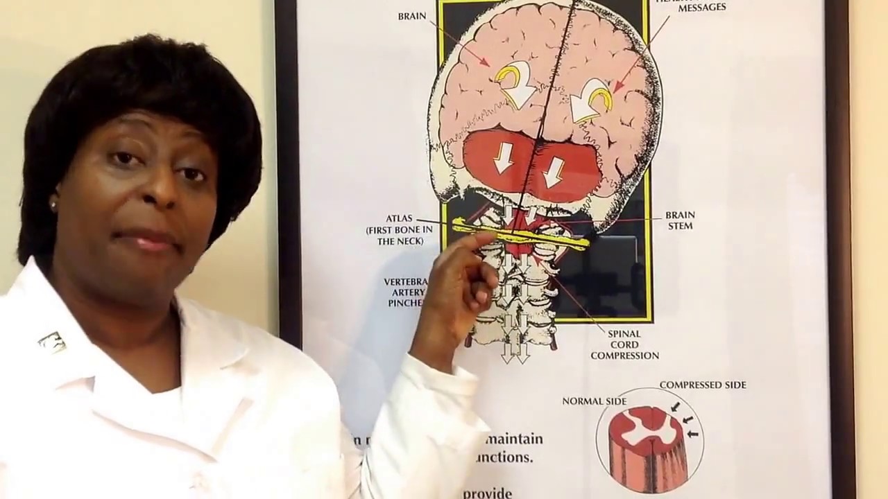 holistic marketing Dr. Charmaine Herman Discusses Brain-to-Body Communication