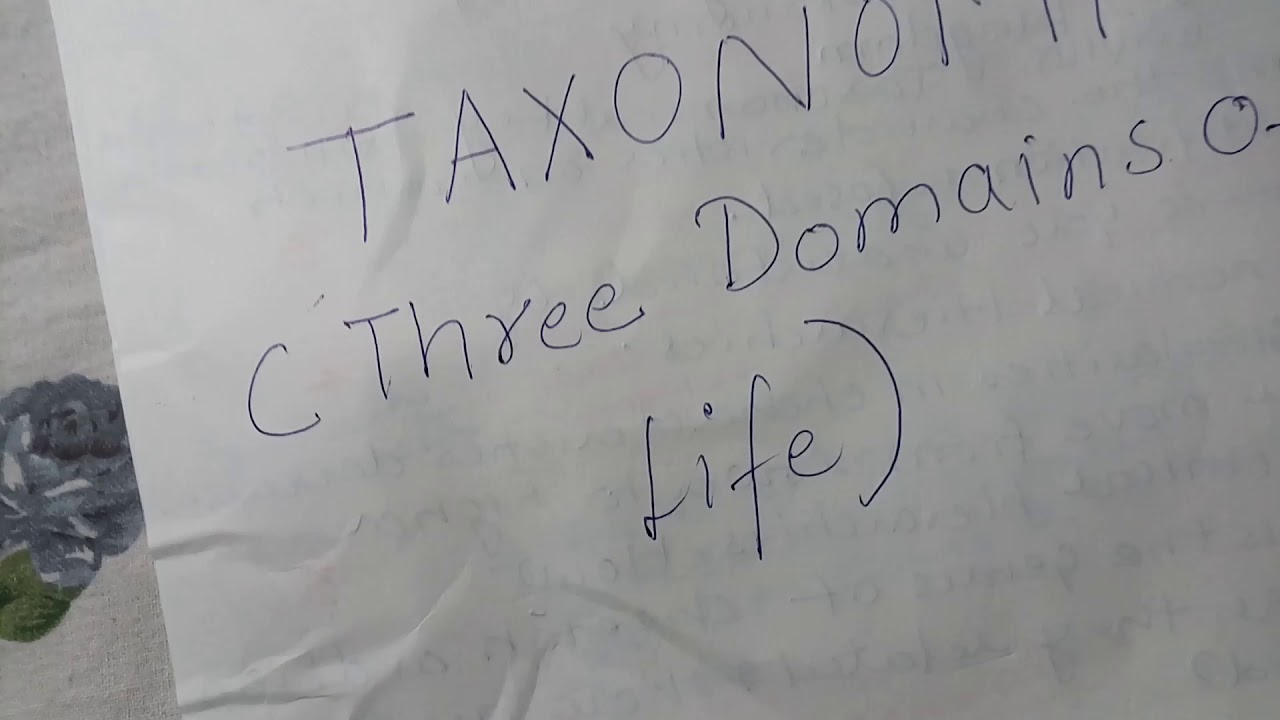 Taxonomy Three Domains of Life - YouTube
