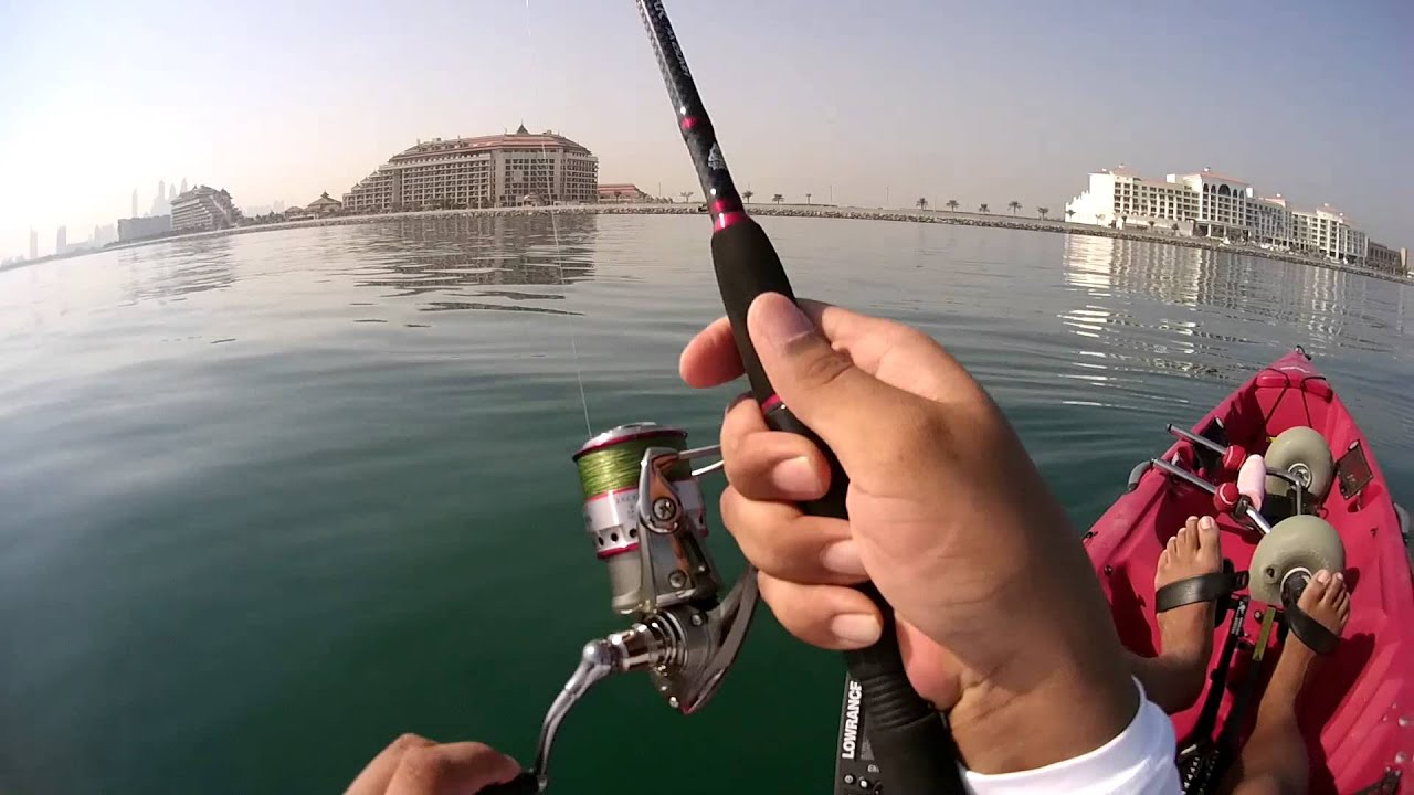 Dubai Kayak Fishing Small Hamour/Grouper Frenzy YouTube