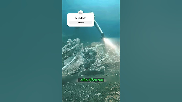নীল তিমির মৃত্যুর পর বিস্মকরভাবে যা ঘটে 🥺🐋🐋