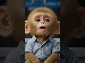 “जिसे बैंक से भगाया गया… वही बना सबसे खास ग्राहक 😭🐒 #sevafoundation #underprivilegedgirls #underpri