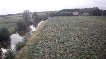 First fpv flight with Hoverthings Flip