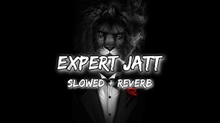 Expert Jatt || slowed + reverb + 16D + lyrics || #slowed #bassboosted Resimi