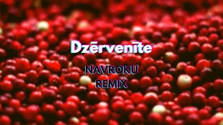 Dzērvenīte (NAVROKU Remix)