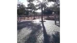 Rafet El Roman - Ne Güz Ne Güller İster (İsa Ceren) Abone Ol Resimi