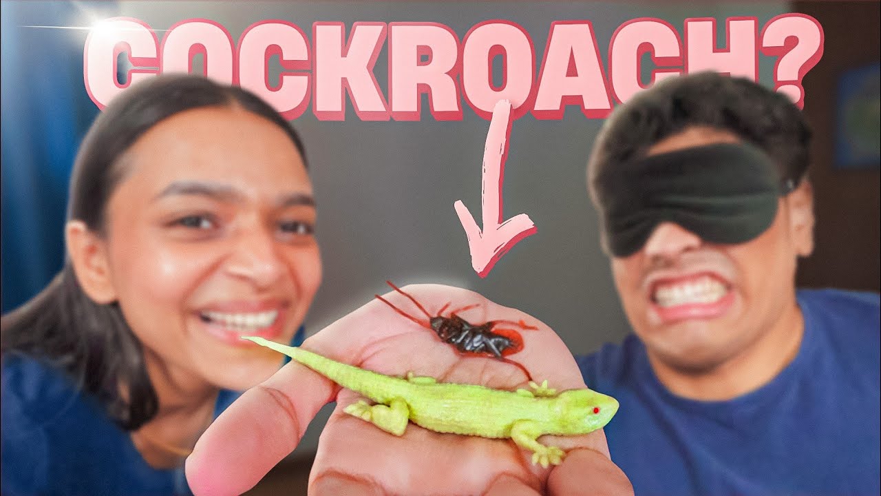 Is that a COCKROACH??? 😱 (Guess The Object Challenge)