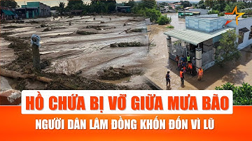 Lâm Đồng: Vỡ hồ chứa, lực lượng cứu hộ trắng đêm tìm kiếm người mất tích | TTVH
