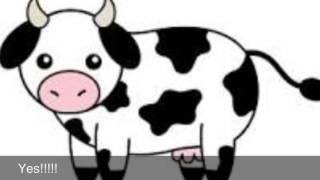 Am I A Cow!?!?!