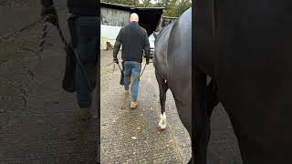 Barbie Pony 💅 #Farrier #Horse #Horses #Satisfying #Barbie #Shortswithcamilla