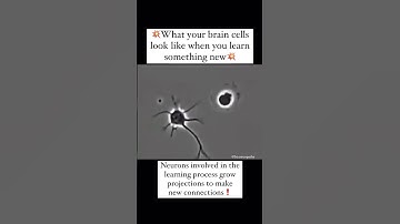 when brain cells connect