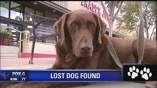 Stranger helps Dallas woman find stolen dog