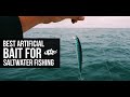 Best Artificial Bait For Saltwater Fishing