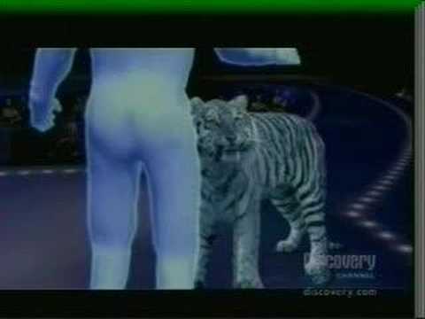 Siegfried & Roy tiger handler says the real cause of 2003 mauling was covered up