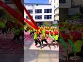 Chaoshan’s Traditional Centipede Dance: National Intangible Cultural Heritage Live Performance
