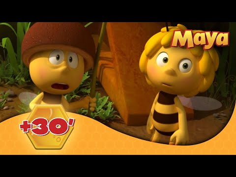 La Abeja Maya 🐝 🕒 +30' EPISODIOS COMPLETOS 🐝