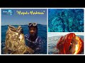 Spearfishing Mozambique - ASD "Maputo Madness"
