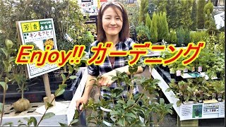 【ガーデニング1】生け垣用の植木を購入する Gardening