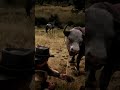 Hunting Fail So Bad It Hurt My Soul 😅