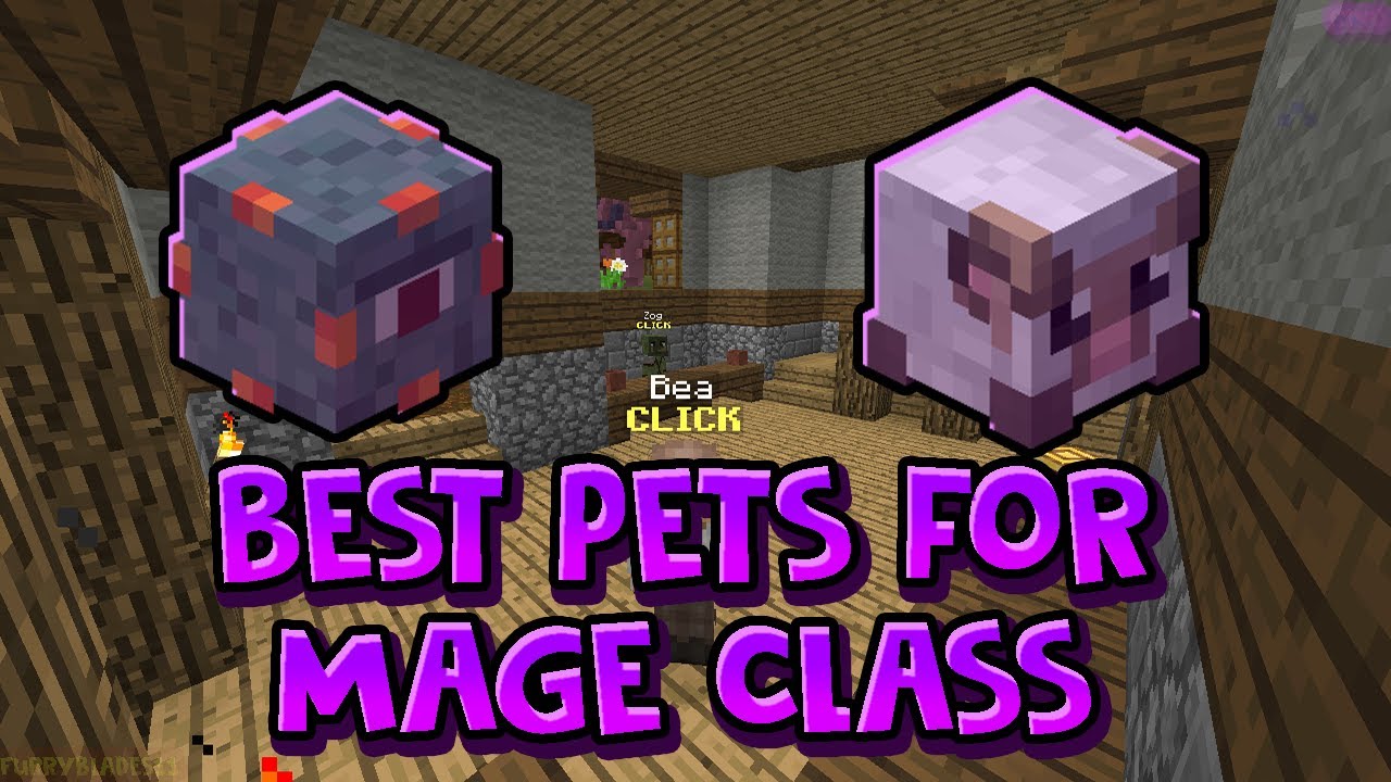 The BEST Pet To Pick For Mage Class (Hypixel Skyblock ...