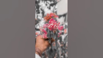 الذين خلقني فهو يهدين | سورة الشعراء | صوت القارئ محمد هشام