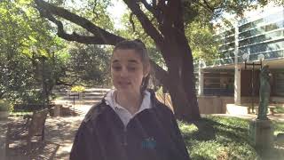 Learning Styles Neuromyth by Emily S