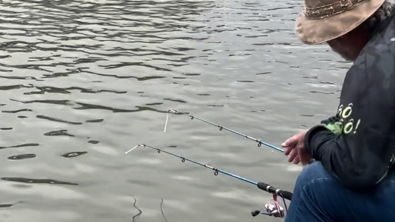 Achei o ninho das bocuda! Mais uma vez pescaria no 0800!!!