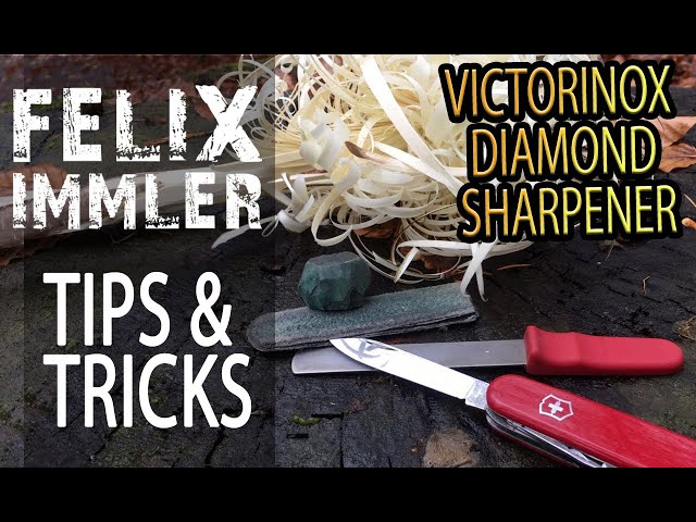 A knife sharpener for beginners? Victorinox Dual Knife Sharpener.  Idiotproof Sharpening? Part 1. 