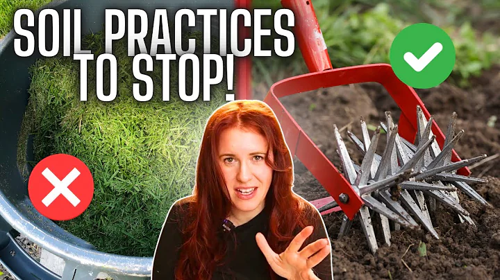 STOP Doing This! 3 Common Gardening Mistakes That Destroy Your Soil