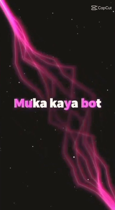 muka kaya bot