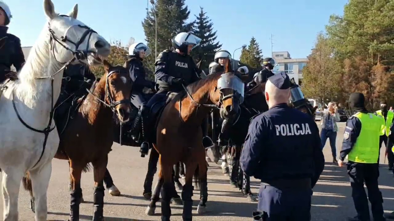 Atestacja koni służących w łódzkiej policji [27 października 2022 r.]