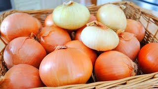 5 Ways to Store Onions for Long Term (Weeks, Months, or 1 Year)  by CiCi Li