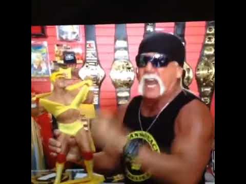 Jaime D hulk hogan the sister shout out Mohawk midget - YouTube