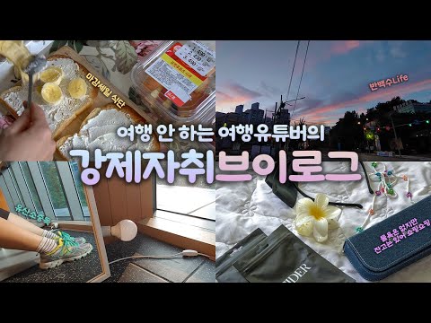vlog + er｜여행 안 하는 여행 유튜버의 강제 자취 일상 브이로그｜장기여행 준비?｜마트 마감세일 헌터, 유산소 홀릭, 무도 덕후｜브이로그 하는사람er