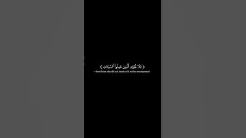 Surah Surah Al-Qasas 84 سورة القصص @QuranCadence #qurancadence
