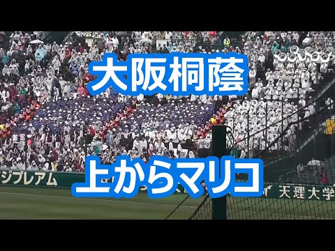 大阪桐蔭「上からマリコ」 (2015年版)