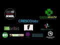 2019 Chicago Cannabis Health & Wellness Fair
