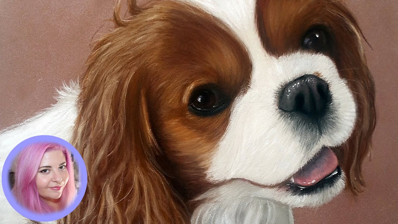 Dessiner Un Chien Cavalier King Charles Au Pastel