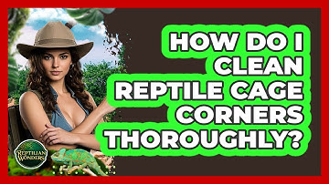 How Do I Clean Reptile Cage Corners Thoroughly? - Reptilian Wonders