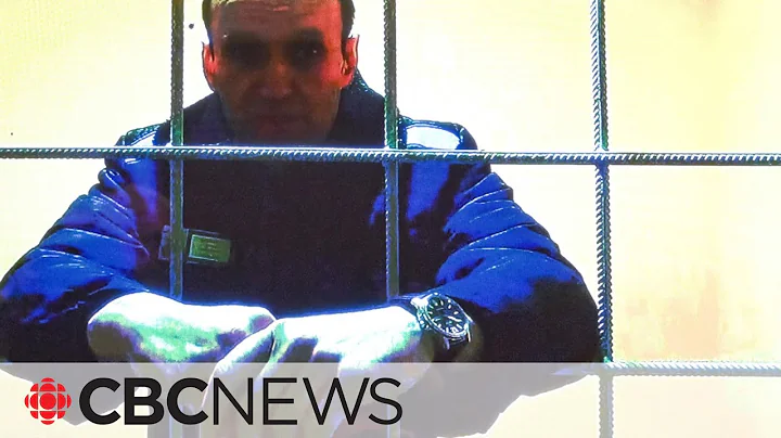 Putin critic Alexei Navalny sentenced to 19 additional years in prison