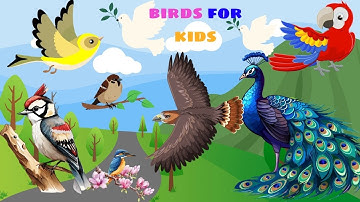 BÉ VUI HỌC TỪ VỰNG TIẾNG ANH VỀ CÁC LOÀI CHIM CÙNG RUBY TV | HỌC CÙNG RUBY TV