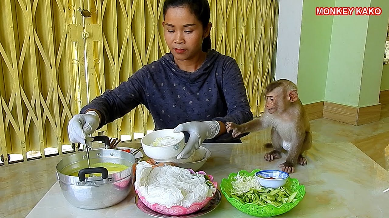 Monkey Kako Crying Can't Wait Mom Feed And Try Request Test Cambodia Noodles