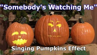 Somebody's Watching - Singing Pumpkins Effect Animation