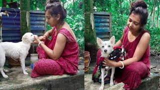 spitz dog bathe time //how to bathe your dog properly at home// বুবলী কে জোর করে স্নান করাতে হয়। 🥰