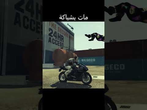 ابسولوت زينيما