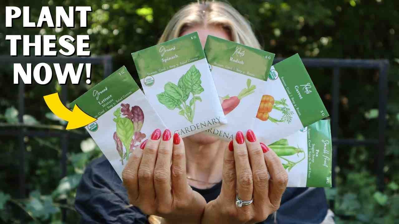 5 Seeds I Plant Every September