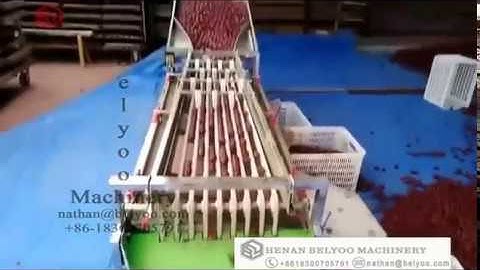 Orange Lemon Mango Kiwi Blueberry Dates Hops Sorting Fruit Apple Tomato Grading Machine