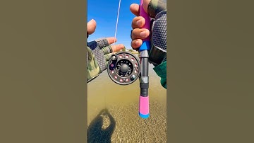 Tips Using A fly Rod for fly fishing#fishing#tips#fish#shortvideo#shorts#short#viral#youtube#bass
